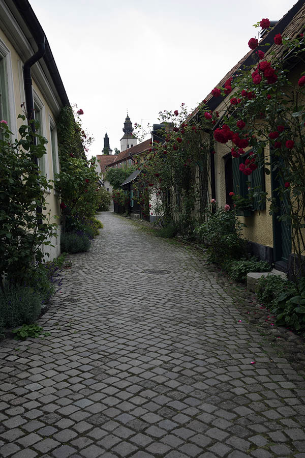 Photo 27247: Yellow facades from street in Visby, Sweden
