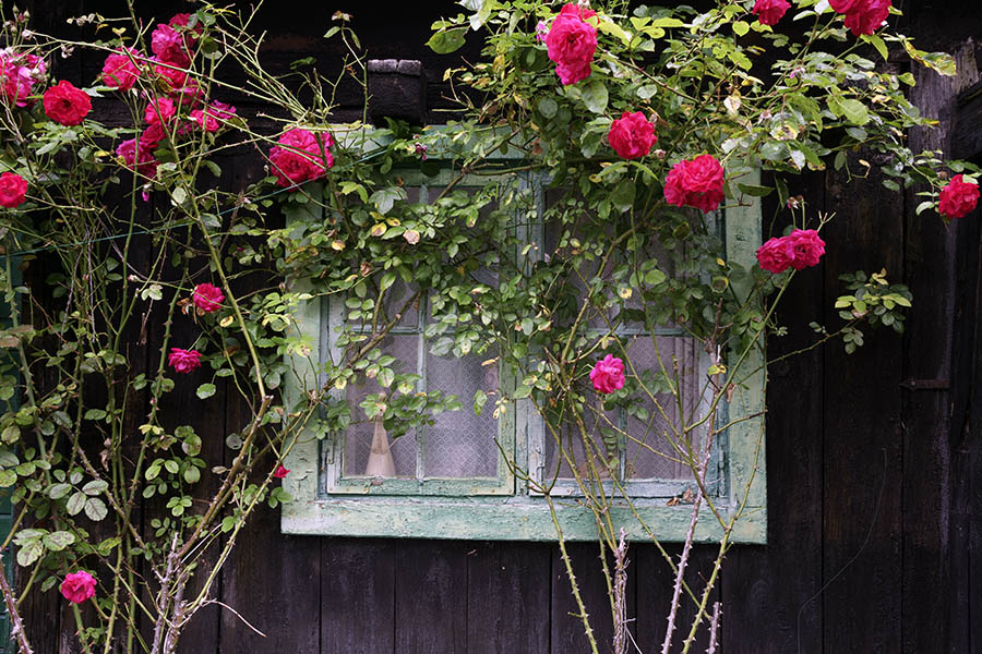 Photo 27250: Worn, green window with two frames and eight panes
