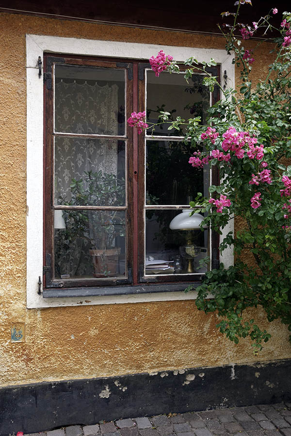 Photo 27324: Oiled and red window with two frames and six panes