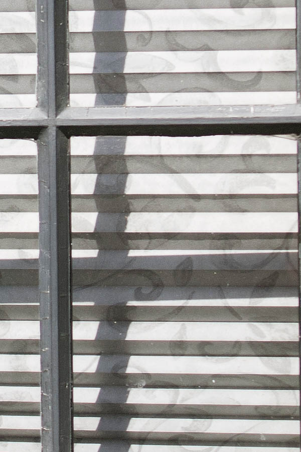Photo 06076: Grey window with nine panes