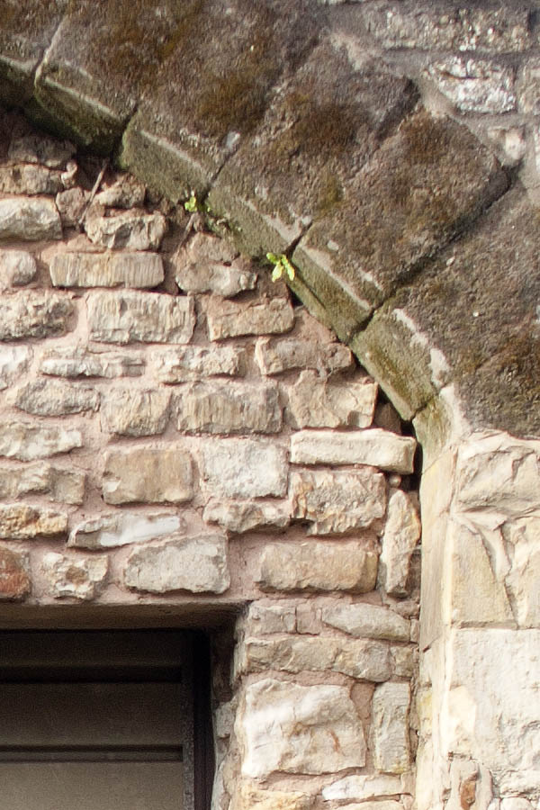 Photo 06600: New, light yellow garage door 