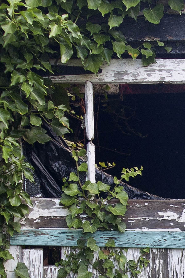 Photo 06601: Decayed, panelled, white garage door