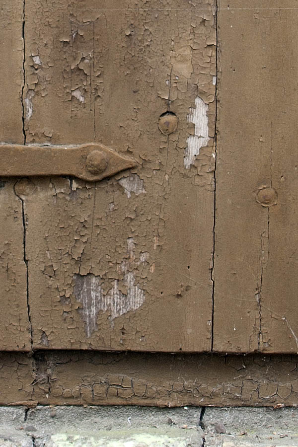 Photo 07387: Little, brown trapdoor