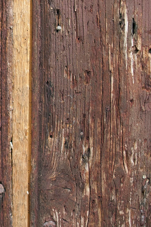 Photo 07405: Brown trapdoor