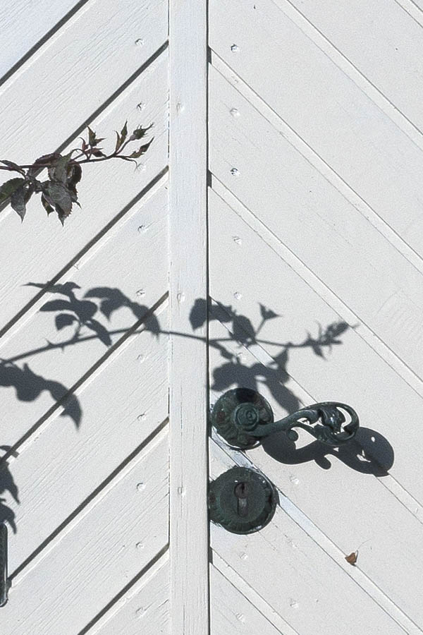Photo 09250: White double door of diagonal boards with top window