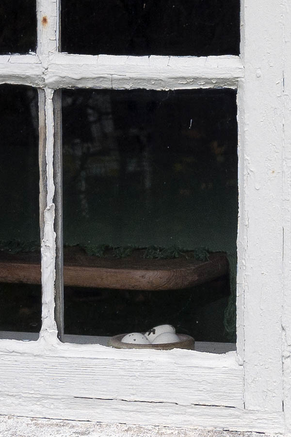 Photo 09893: White window with two frames and 12 panes