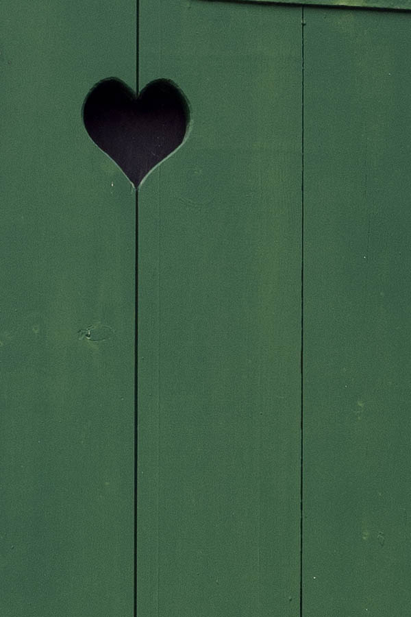 Photo 11131: Green door made of planks
