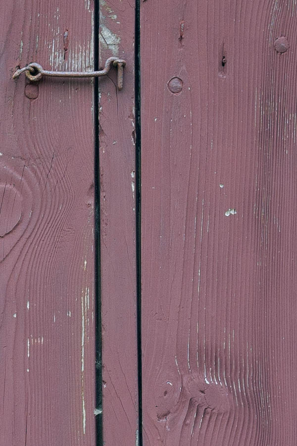 Photo 11197: Worn, purple, double trapdoor made of planks