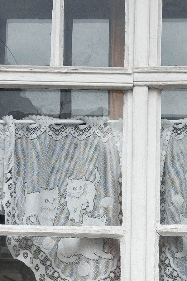 Photo 12112: Combined, blue and white window with six frames and 18 panes
