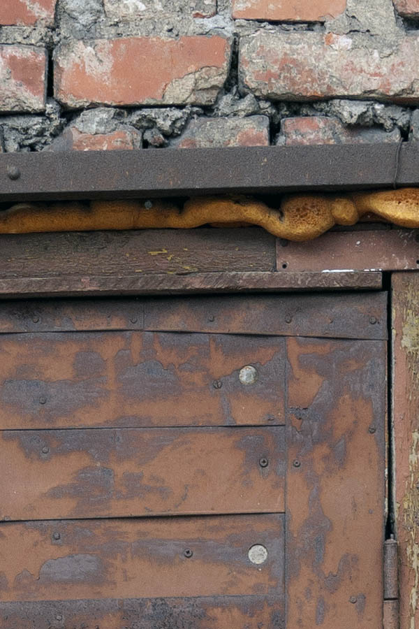 Photo 12830: Worn, lopsided, panelled, rusty, brown door
