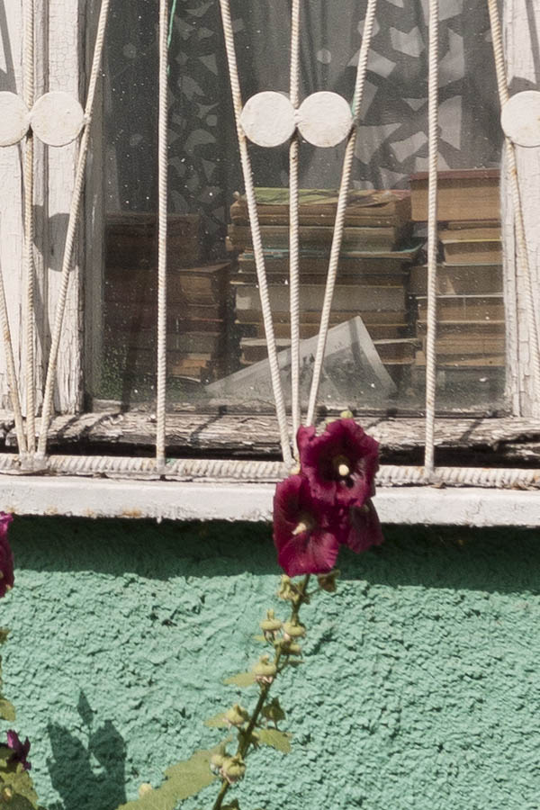 Photo 12885: Worn, latticed, white window with six frames