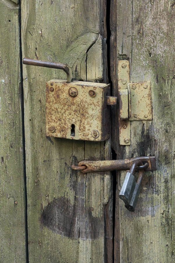 Photo 13052: Worn, green double door made of planks