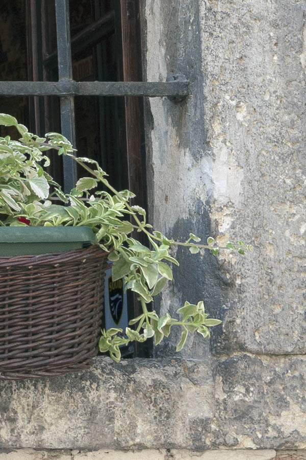 Photo 13470: Grated, formed, brown window
