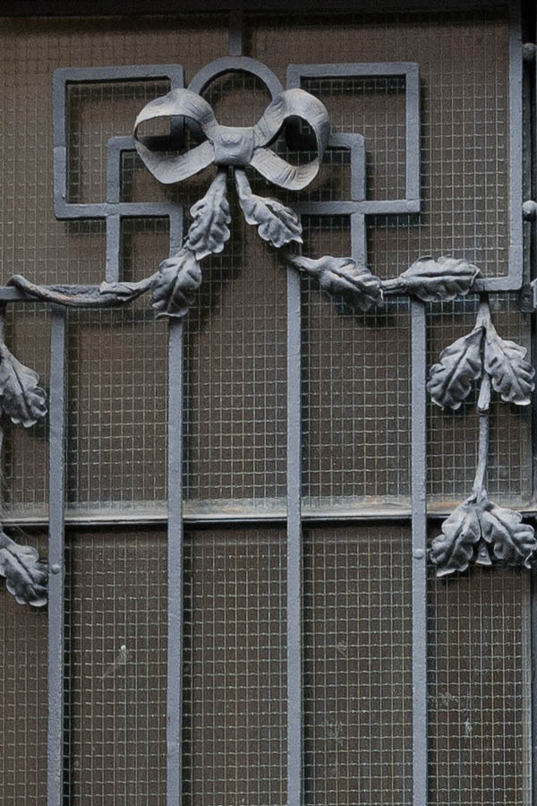 Photo 13699: Black metal double door with latticed top window and door lights