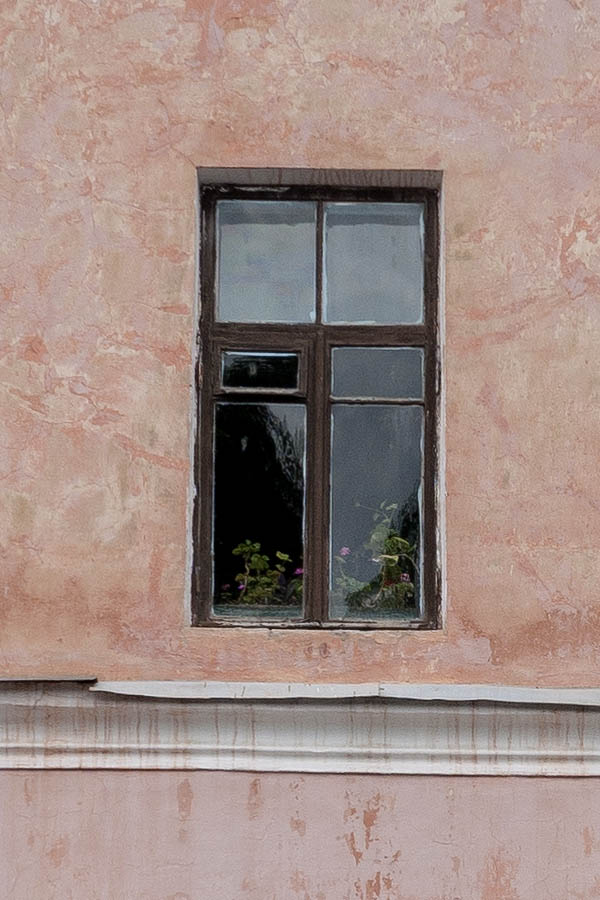 Photo 14123: Pink facade with 12 brown windows