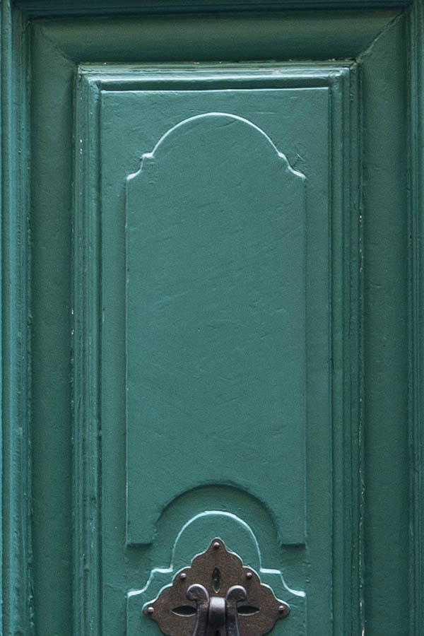 Photo 14731: Carved, panelled, green double door with barred fan light