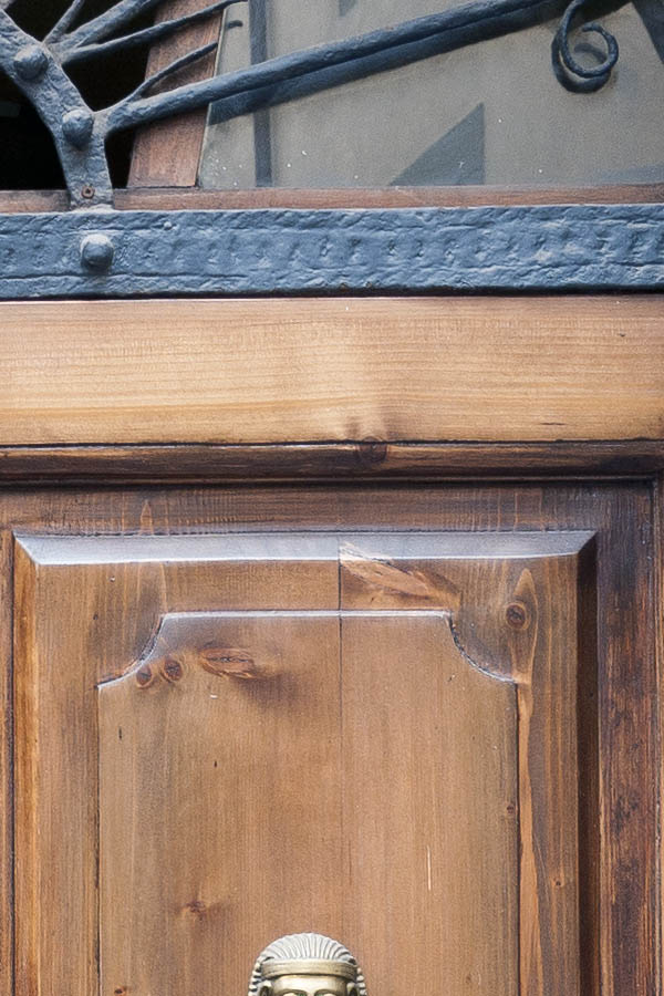 Photo 14853: Panelled, lacquered double door with black, latticed fan light