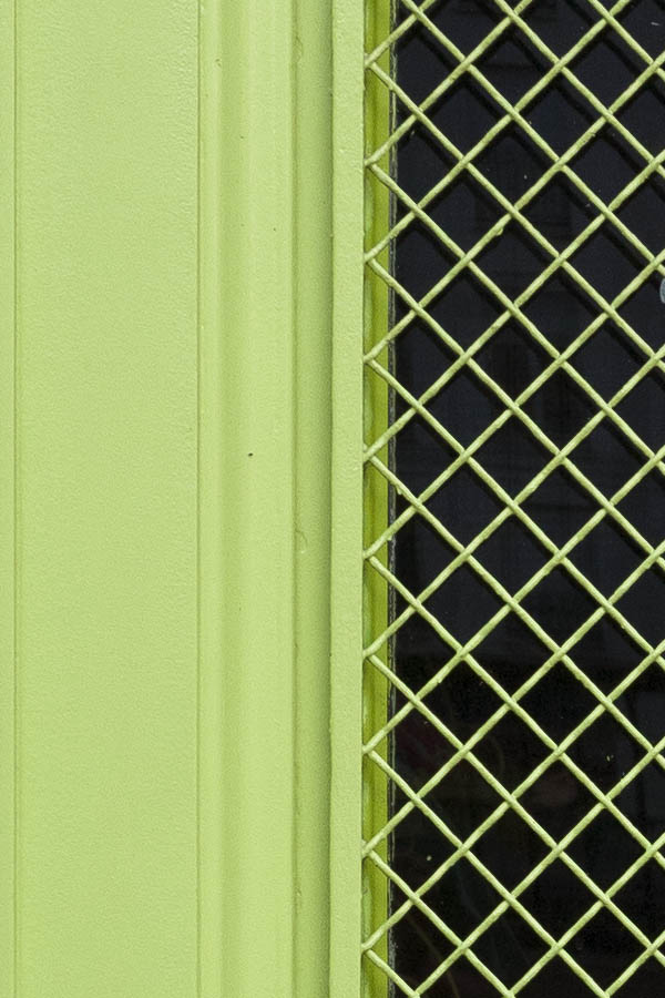 Photo 15531: Panelled, light green door with large, latticed door light and barred top window