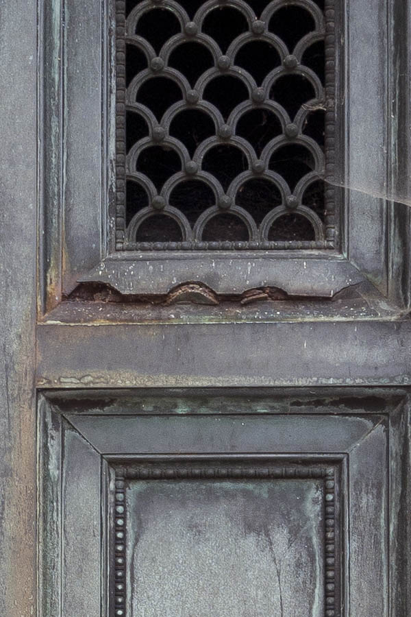 Photo 15604: Decayed, teal metal double door with latticed door lights