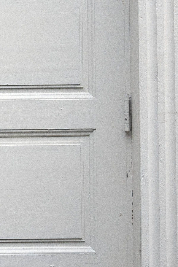 Photo 16612: Panelled, white double door with top window