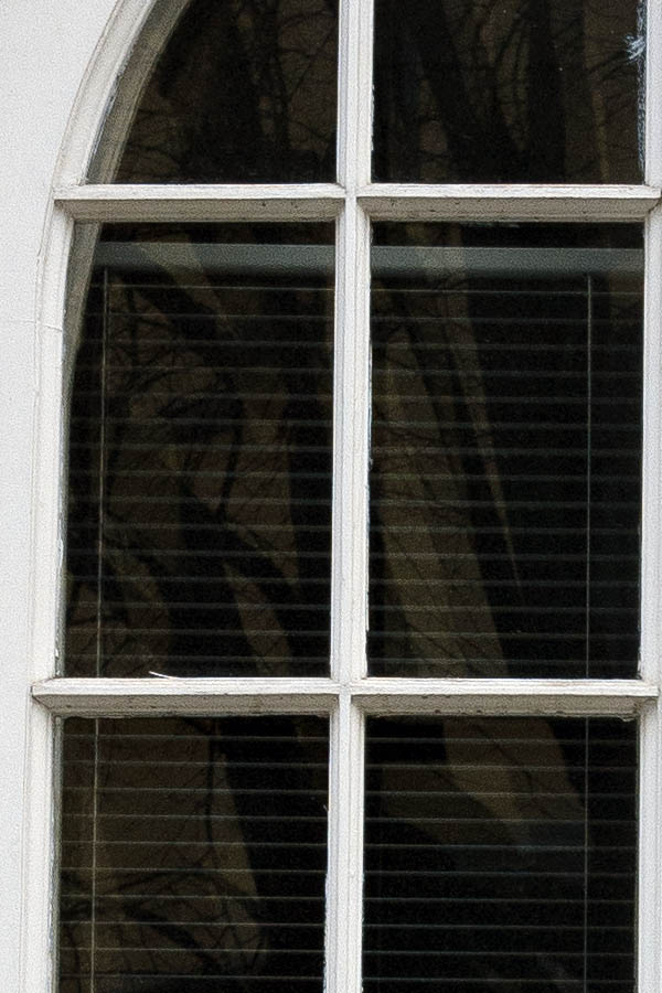 Photo 17598: Formed, carved, white double door