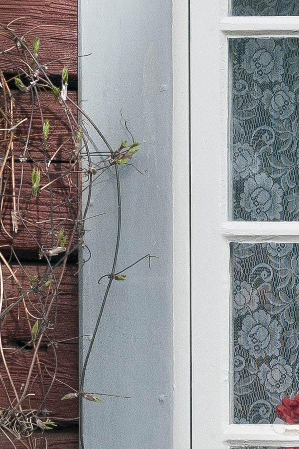 Photo 18196: White window with two frames and 16 panes in a grey frame