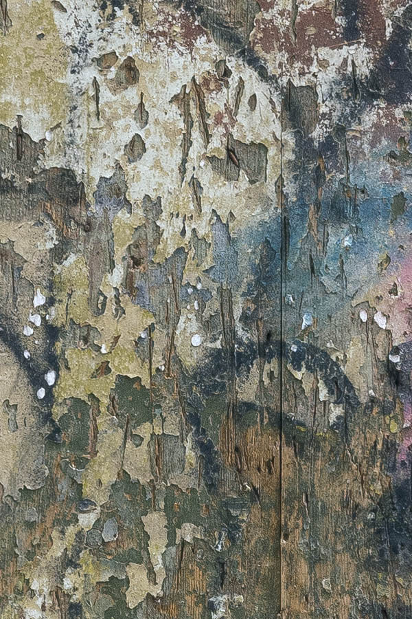 Photo 19510: Decayed, grey door of boards with many colours