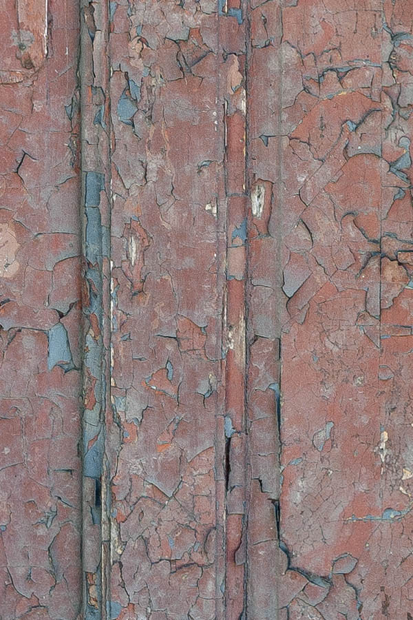 Photo 19592: Decayed, panelled, red and blue door