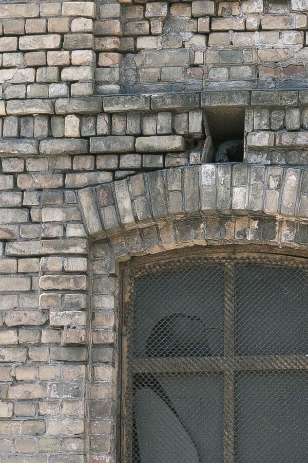 Photo 19606: Worn facade of yellow bricks with nine formed, decayed windows with four panes each
