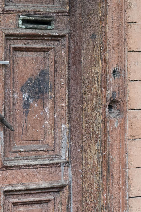 Photo 19753: Worn, panelled, light brown double door with top window and metal, orange windbreak