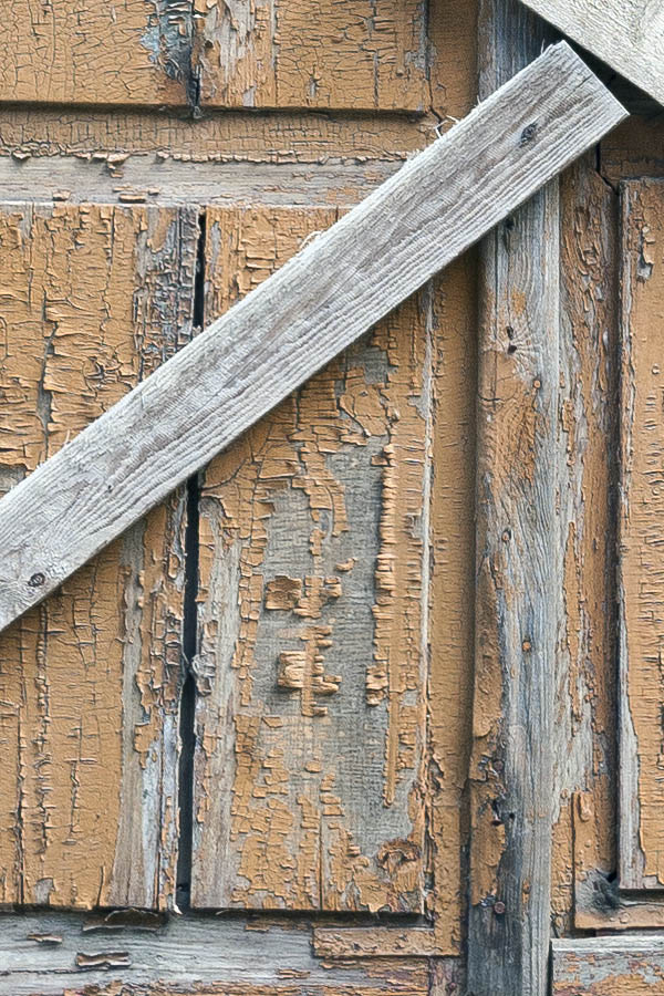 Photo 19779: Decayed, orange and unpainted shutters