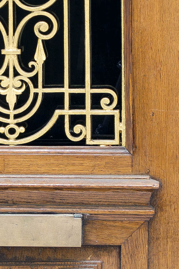 Photo 23818: Panelled, carved, lacquered door with golden lattice