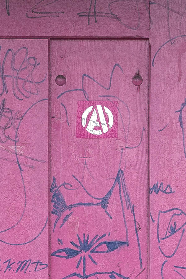 Photo 23824: Worn, panelled, violet door with sidepiece