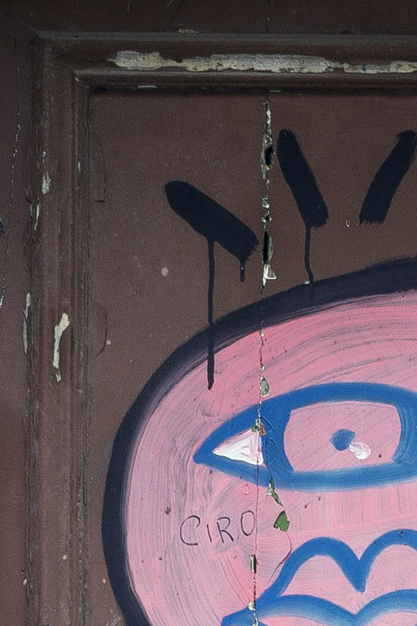 Photo 23920: Decayed, panelled, brown double door with pink graffitti