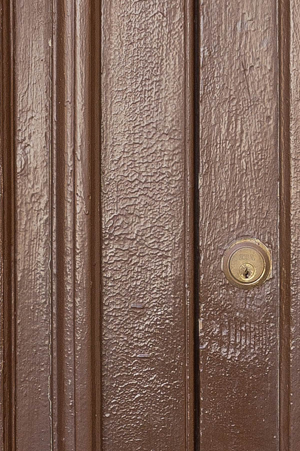 Photo 24007: Narrow, panelled, brown double door