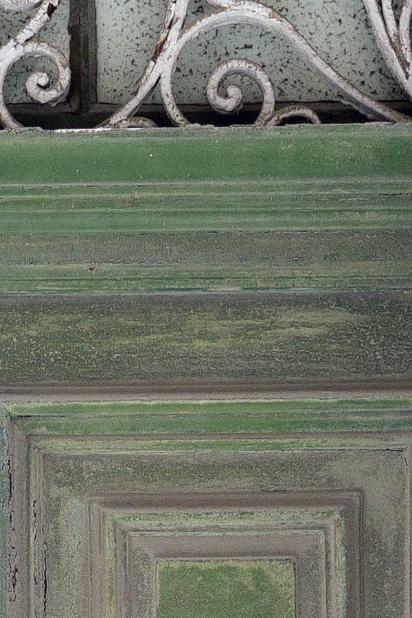 Photo 24126: Worn, panelled, light green double door with latticed fan light