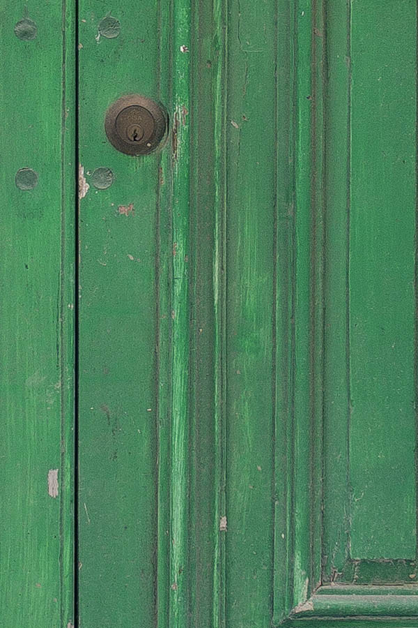 Photo 24261: Panelled, green double door with latticed fan light