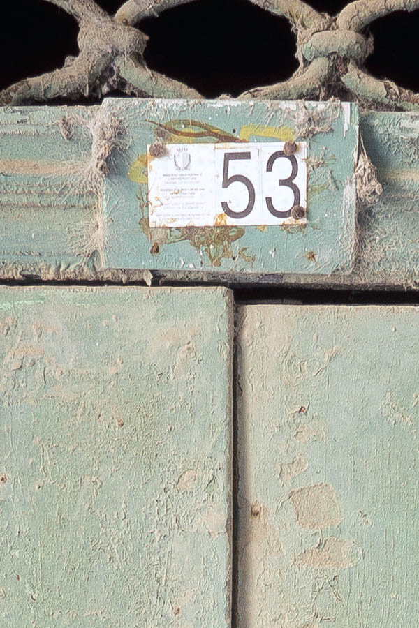 Photo 24311: Worn, light green double door made of boards with latticed fan light