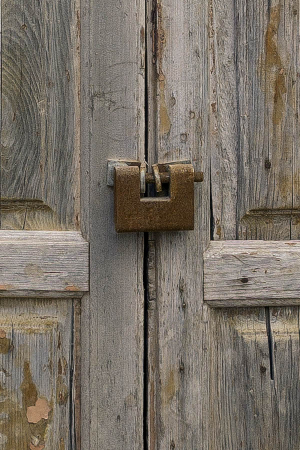 Photo 24349: Worn, unpainted, panelled double door