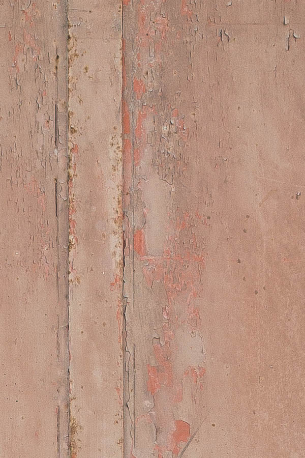 Photo 24376: Brown metal double door