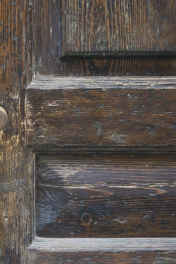 Photo 24419: Panelled, oiled, formed double door with latticed door lights