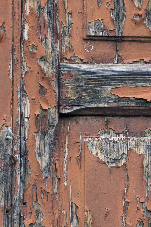 Photo 24463: Panelled, carved, decayed red double door with barred top window