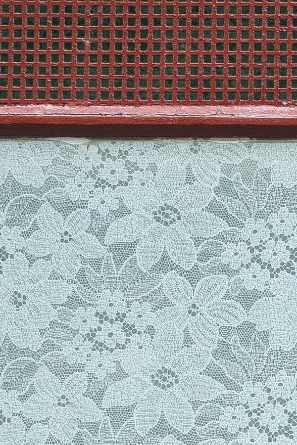 Photo 24910: Red window with eight covered panes