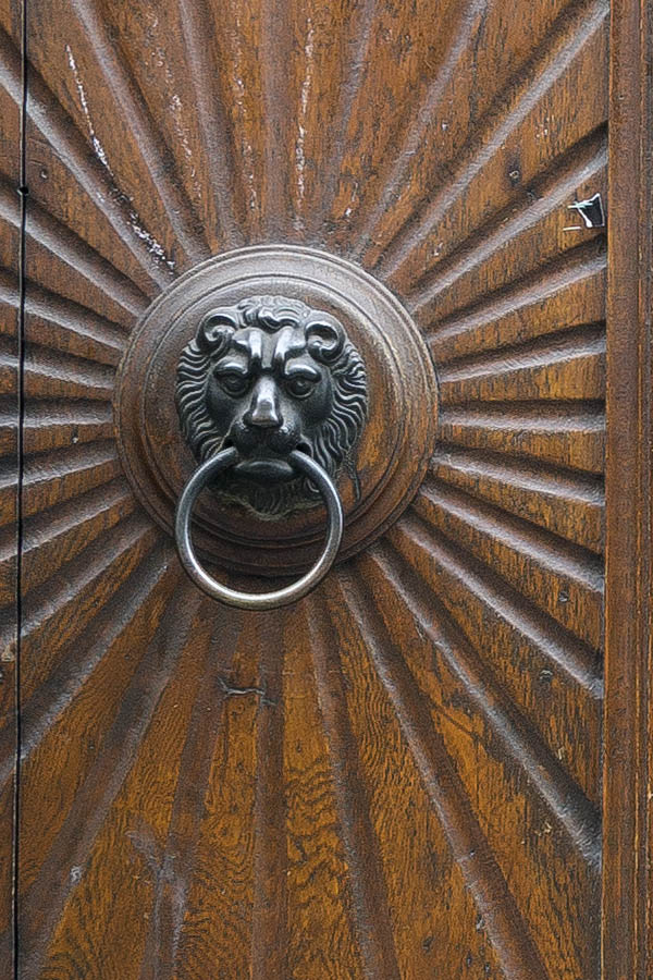 Photo 24950: Worn, panelled, carved, formed, oiled gate