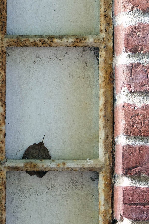 Photo 25287: Facade with three worn, formed, white metal windows in a red brick wall
