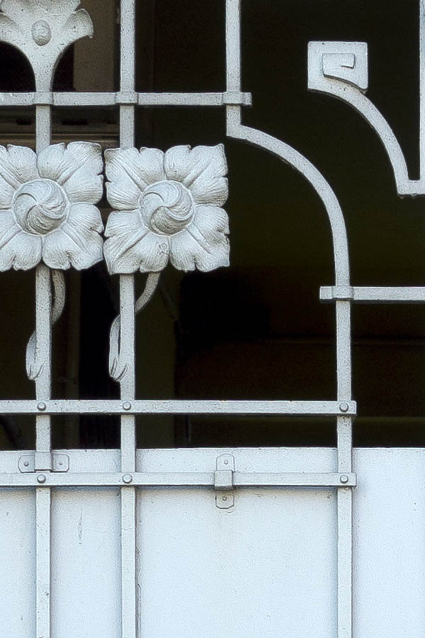 Photo 25534: Grey metal gate with flower decoration in Art Nouveau style