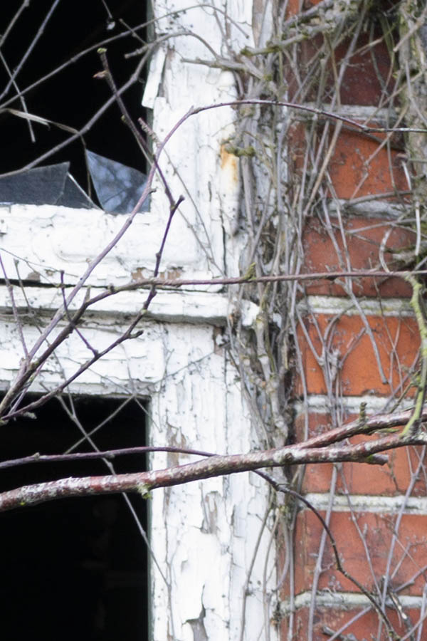 Photo 26436: Decayed, white Dannebrog window