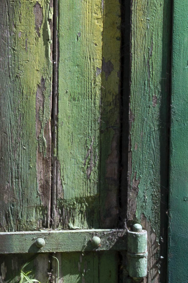 Photo 26437: Green double door of boards