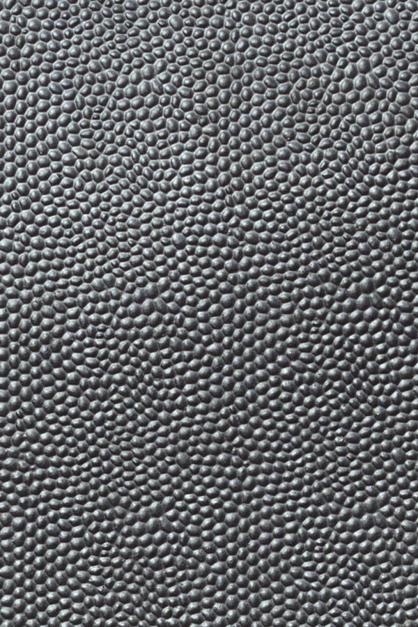 Photo 26579: Black metal door with sidepiece