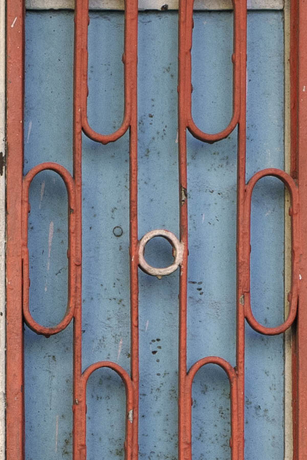Photo 26619: Light blue, red and white double door with lattice and top window